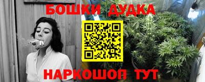 прущие грибы Краснокаменск