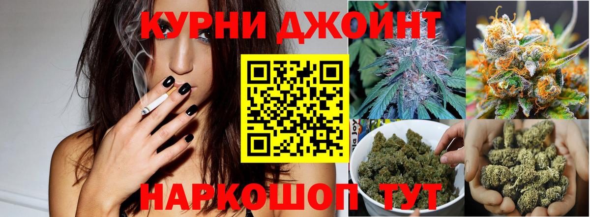 Бошки марихуана план  Вход с VPN  Каннабис конопля  Бошки Шишки тримм  Кохма 
